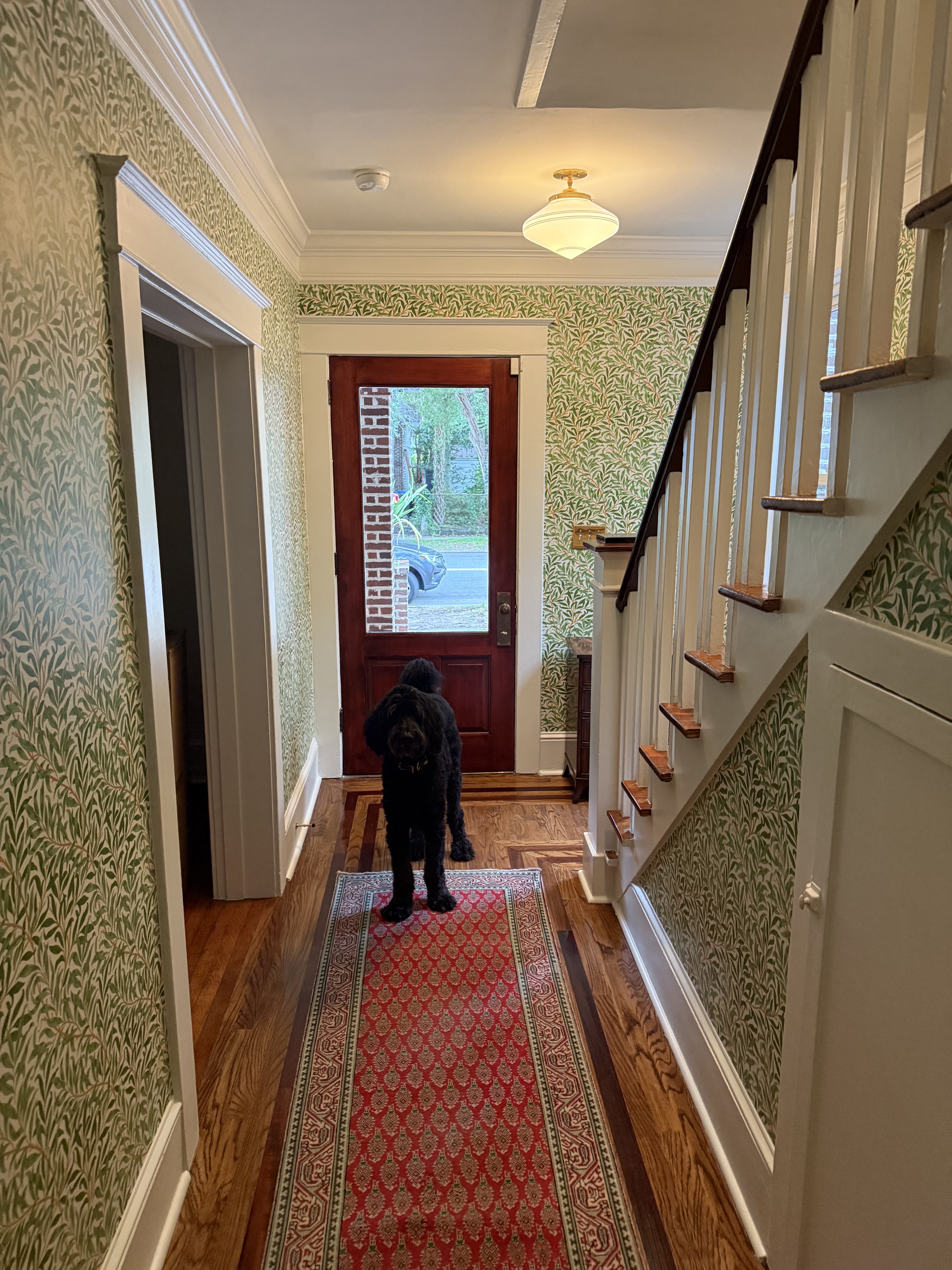 Warm Southern interior with antique furniture and a dog in the entry